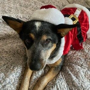 Meet your Posher, Wendye